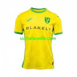 Jalkapallo Pelipaitoja Norwich City Mies Kotipeliasu 2024-2025 Lyhythihainen