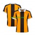 Jalkapallo Pelipaitoja Hull City Mies Kotipeliasu 2026-2027 Lyhythihainen