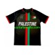 Jalkapallo Pelipaitoja Club Deportivo Palestino Center Stripre Mies Kotipeliasu 2024-2025 Lyhythihainen