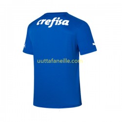 Jalkapallo Pelipaitoja Palmeiras Maalivahti Mies Kotipeliasu 2023-2024 Lyhythihainen