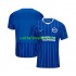 Jalkapallo Pelipaitoja Brighton & Hove Albion Mies Kotipeliasu 2026-2027 Lyhythihainen