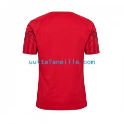 Jalkapallo Pelipaitoja Tanska Mies Kotipeliasu MM-kisat 2022 Lyhythihainen