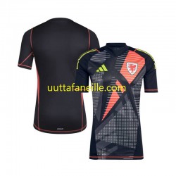 Jalkapallo Pelipaitoja Wales Maalivahti Mies Kotipeliasu 2024 Lyhythihainen